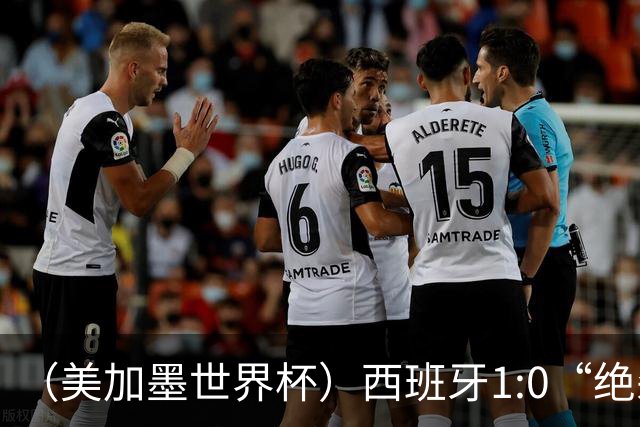 （美加墨世界杯）西班牙1:0“绝杀”葡萄牙 C罗结束世界杯征程
